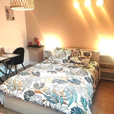 Chez Cerise Bed & Breakfast Tournay Екстериор снимка