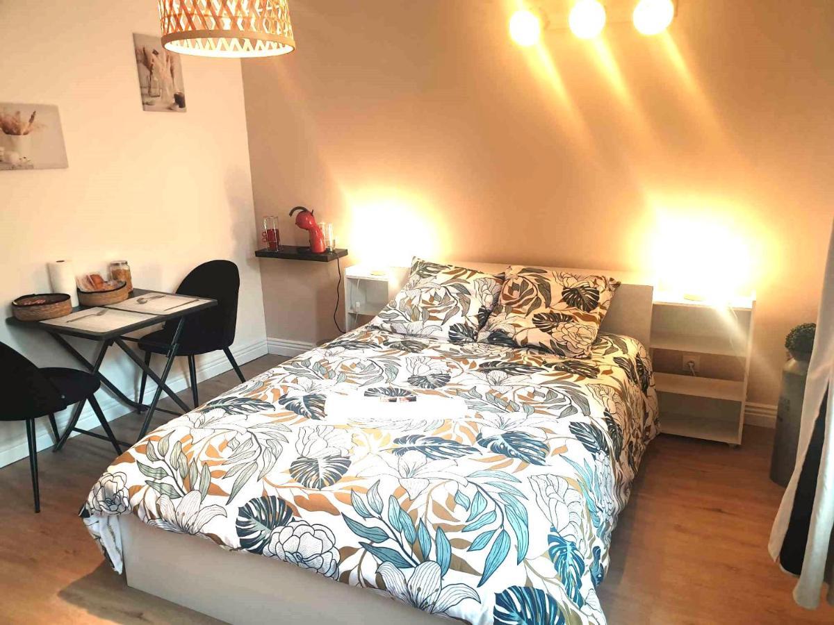 Chez Cerise Bed & Breakfast Tournay Екстериор снимка